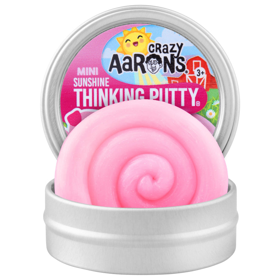 Piglet | MINI Tin J2